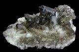 Dark Smoky Quartz Crystal Cluster - Brazil #124585-1